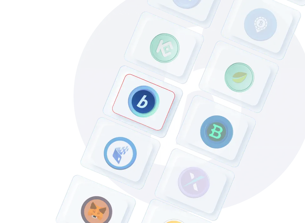 bitpay-clone-software