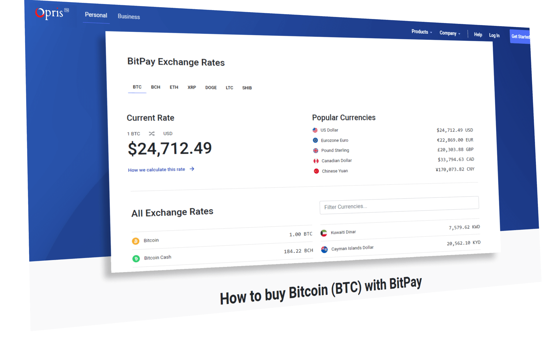 Bitpay Clone App Script Try LIVE DEMO Now Opris