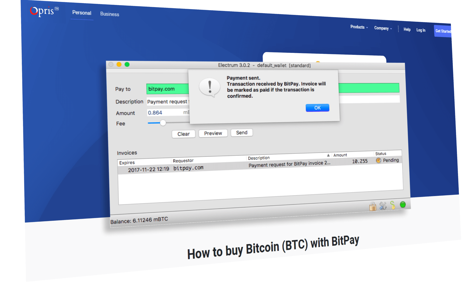 Bitpay Clone App Script Try LIVE DEMO Now Opris