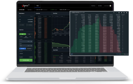 Lightning-fast-order-matching