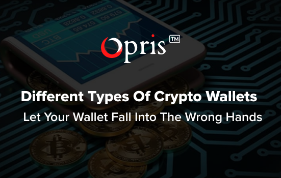 Don't Let Your Wallet Fall Into the Wrong Hands: Get To Know About The Different Types Of Crypto Wallets