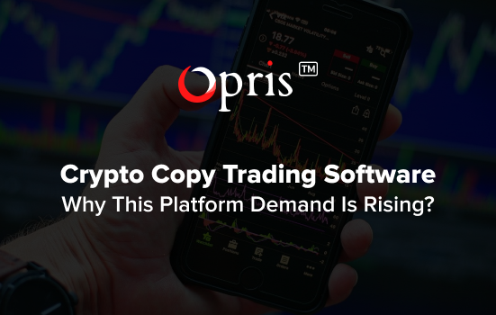 Crypto copy trading software development