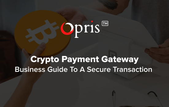 Crypto payment gateway development service