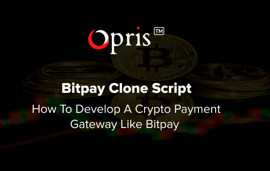 How to launch your own secure crypto payment gateway like BitPay with our comprehensive guide. Get a Free Consultation!!