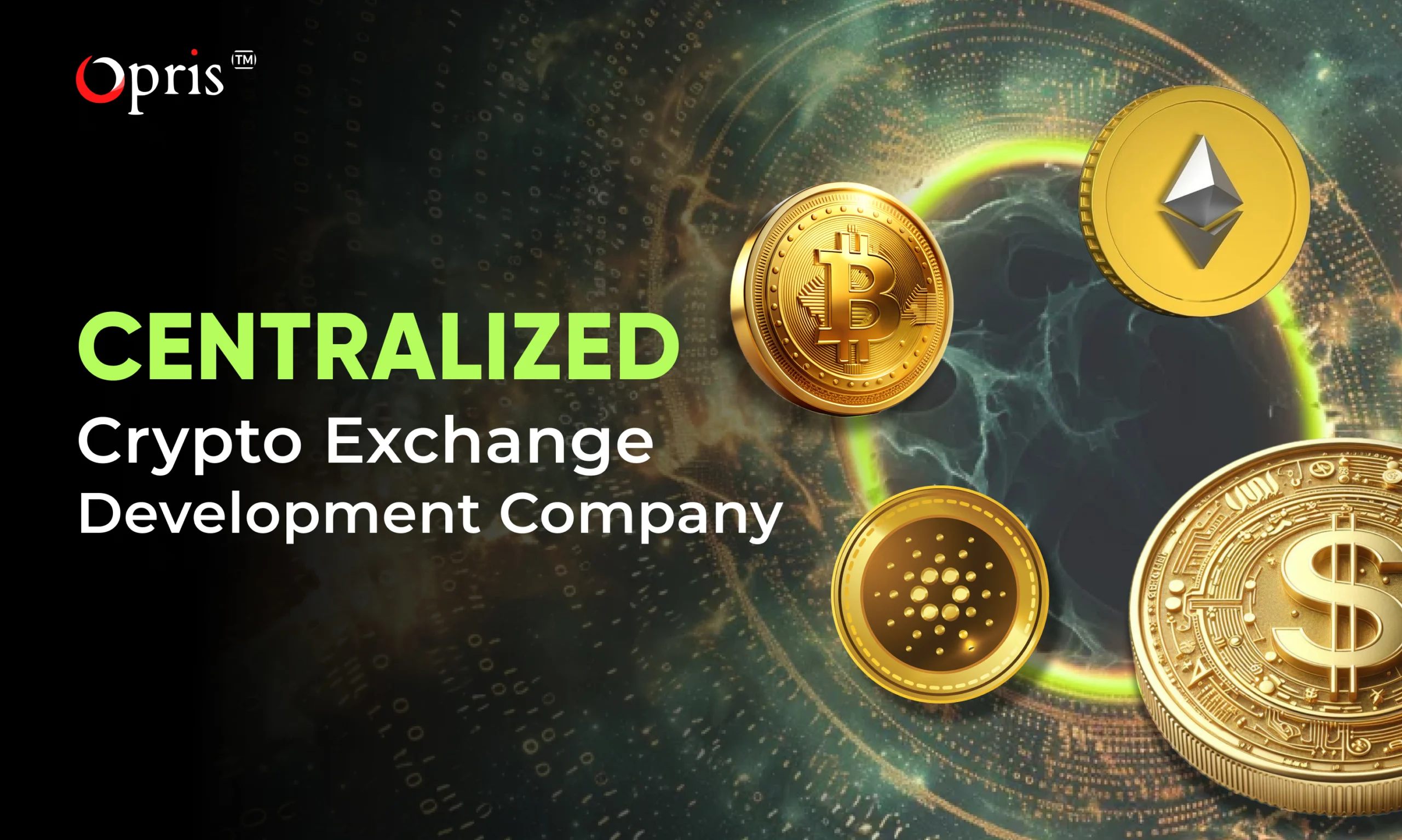 Centralized crypto exchange development company