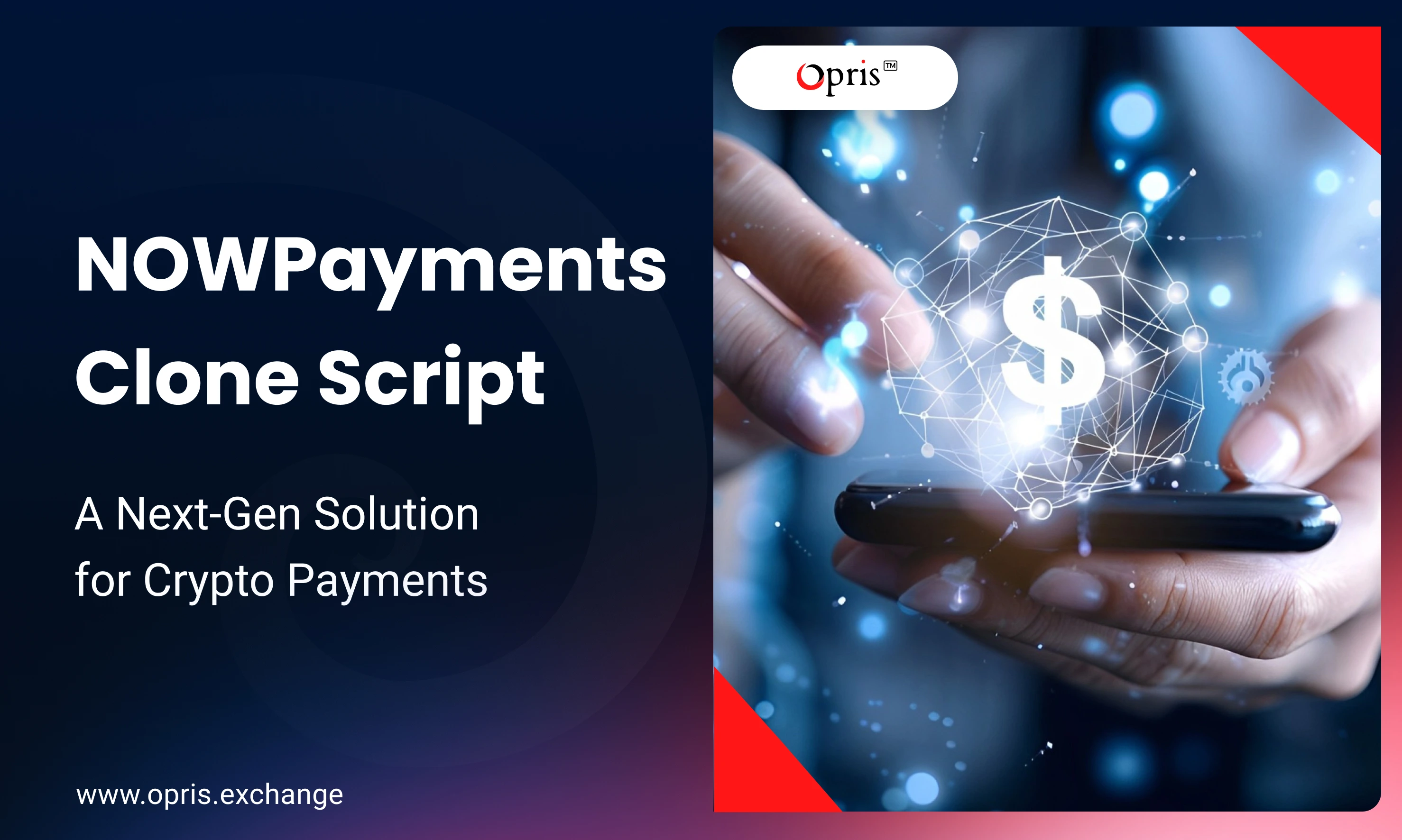 NOWPayments-Clone-Script