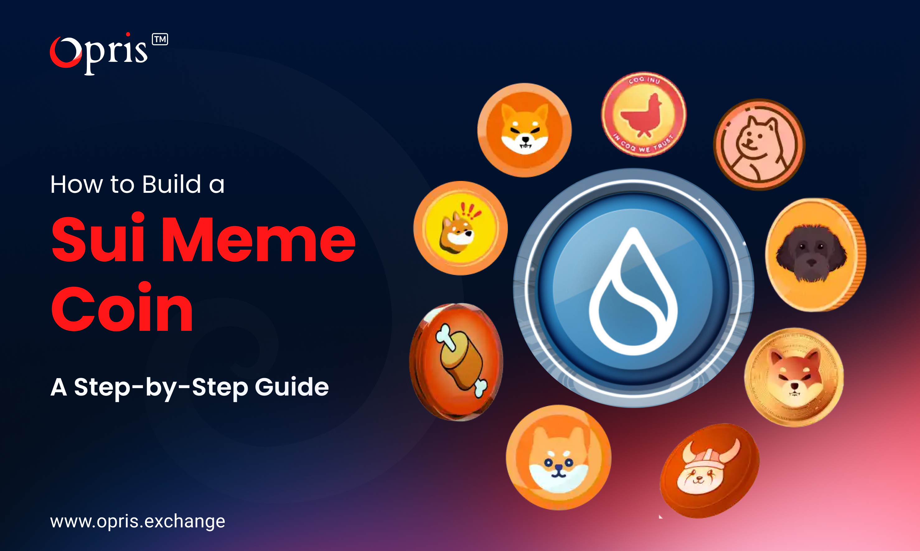 sui meme coin