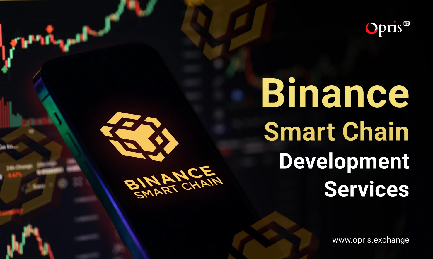 Binance Smart Chain Development Company